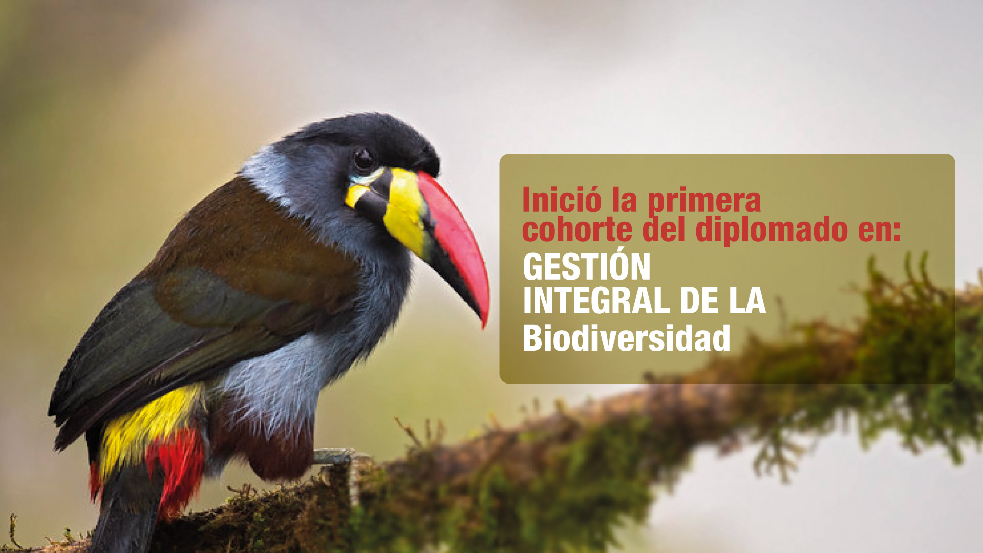 Inició el diplomado en Gestión integral de la biodiversidad y sus servicios ecosistémicos como elementos de conservación del territorio
