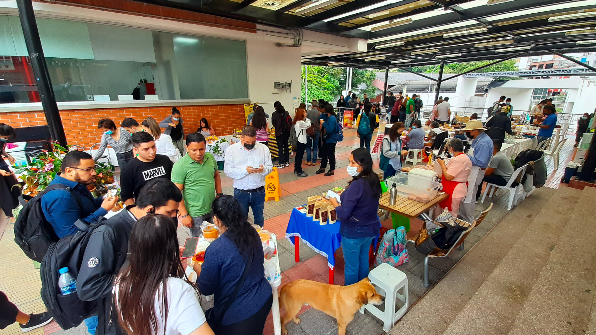 Mercado Campesino en la Universidad del Quindío