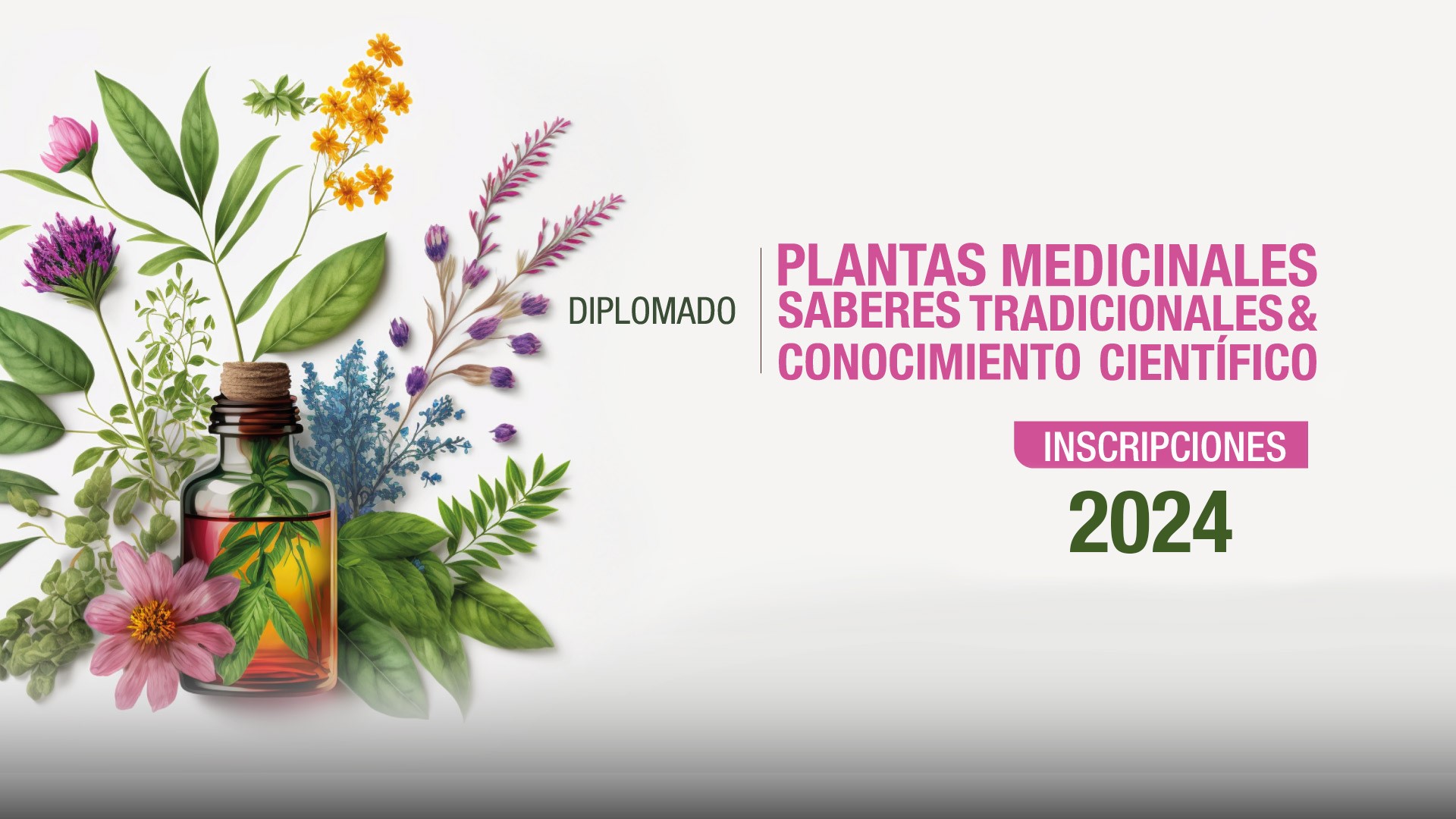 Hasta el 16 de febrero estarán abiertas las inscripciones para el Diplomado en Plantas Medicinales