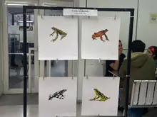 Ilustración científica 3