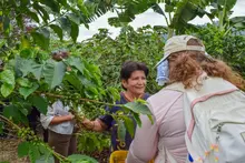 Título: Estudiantes de la U de Washington-Tacoma que hacen curso en Uniquindío estrenarán microdocumental
