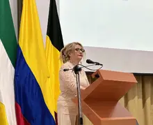 Seminario desconectado