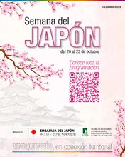 Visita Japon 