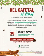 cafetal
