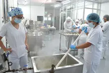 Planta agroindustriales 