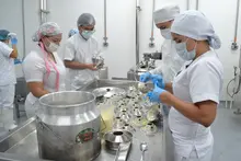 Planta agroindustriales 