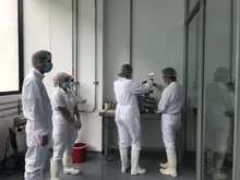 proyecto sector carnico 