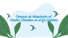 Caminos de adaptación al Cambio Climático en el Eje Cafetero