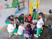 Proyecto ara&ntilde;as 