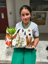 Proyecto ara&ntilde;as 