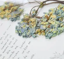 La vida despu&eacute;s de la muerte, una exposici&oacute;n de Juliana Bedoya Garc&iacute;a