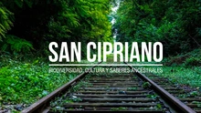 documental San Cipriano