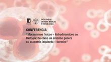 Conferencia: Mecanismos físicos–hidrodinámicos en Biología