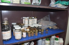 En el día de la Tierra, uniquindianos recorrieron el relicto boscoso “Cedro Rosado”