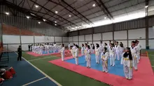 Taekwondo