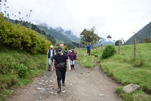 Consejo Superior aprobó la creación de Unidad para la Apropiación Social del Conocimiento