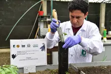El vivero de la Uniquindío recibió registro del ICA para distribuir material vegetal en todo el territorio nacional