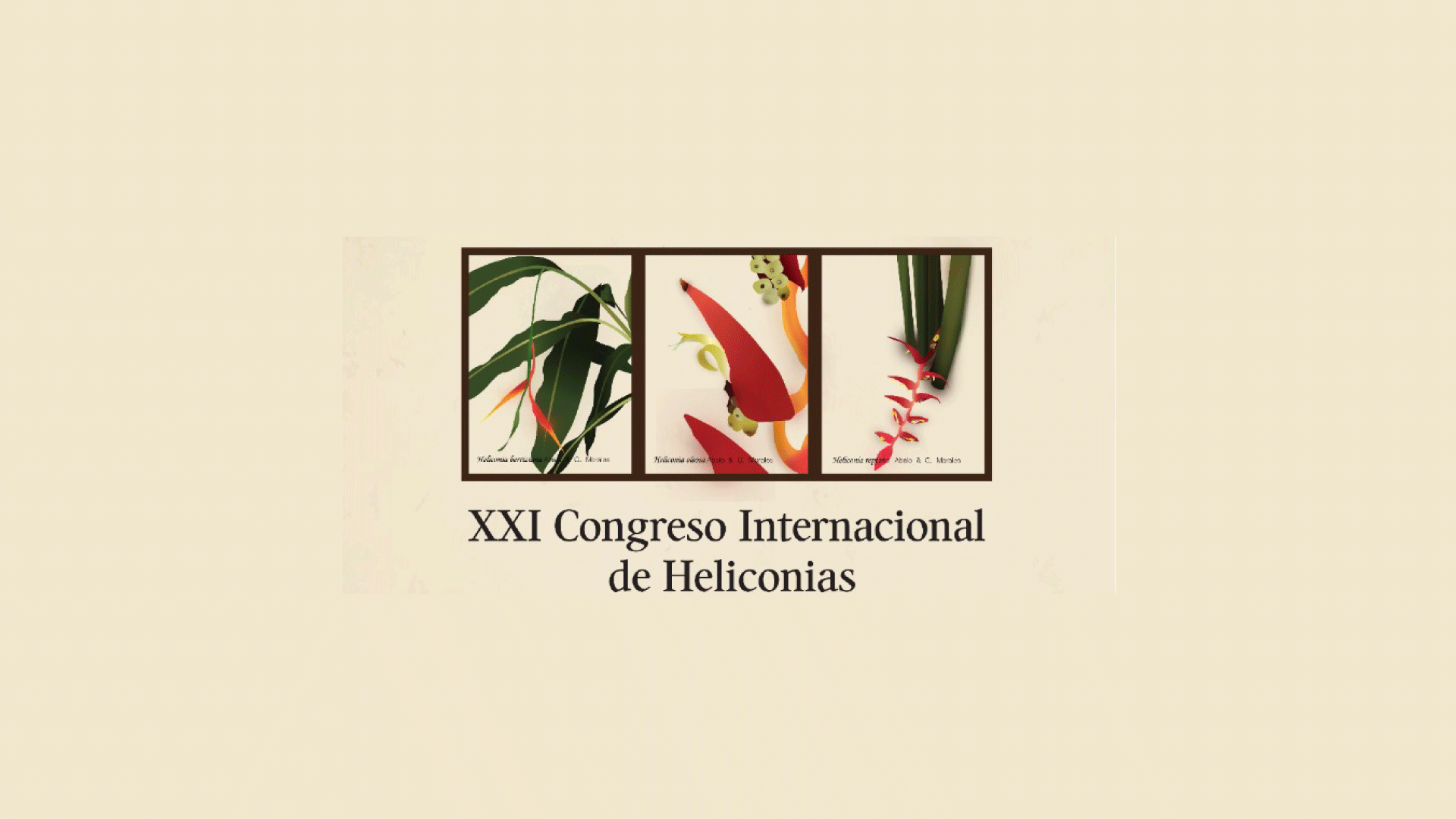 Evento | XXI Congreso Internacional de Heliconias | 5 - 6 de diciembre de 2022