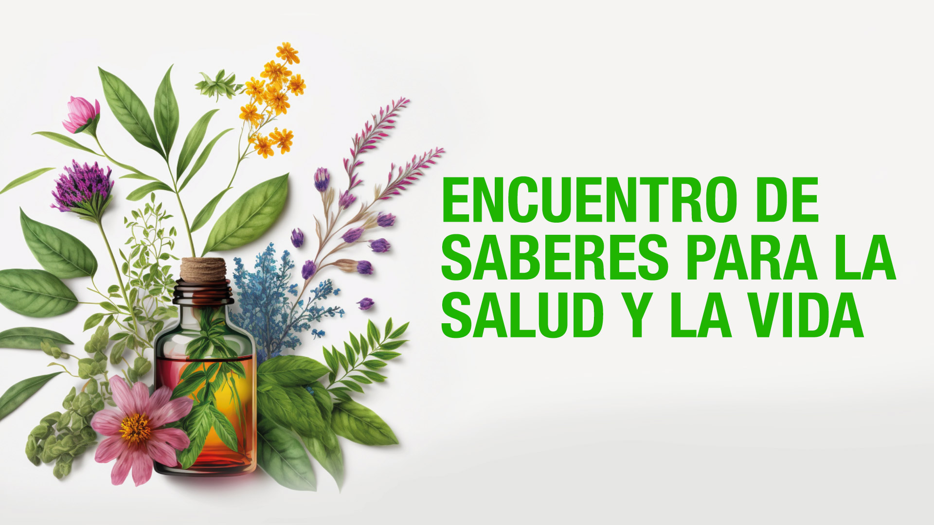 Esta semana se realizará el Congreso Latinoamericano de Plantas Medicinales