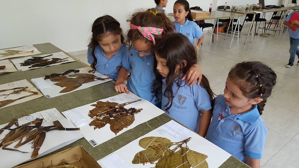 Política Institucional de Colecciones Científicas y Patrimoniales UQ 4