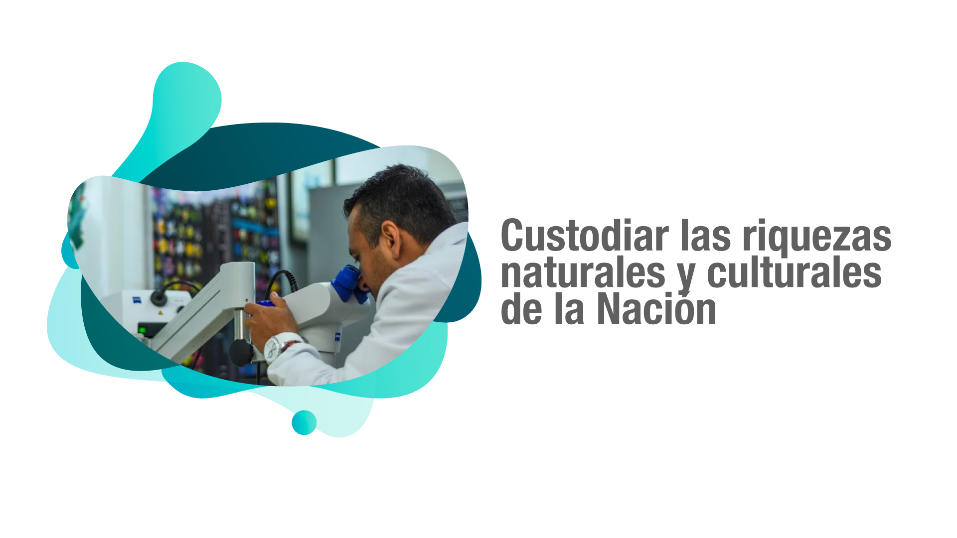 La UQ ya cuenta con Pol&iacute;tica Institucional de las Colecciones Cient&iacute;ficas y Patrimoniales