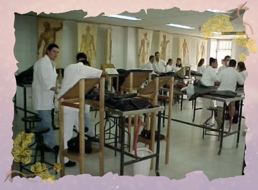 Hospital San Juan de Dios, especial 65 años Hospital San Juan de Dios, especial 65 años