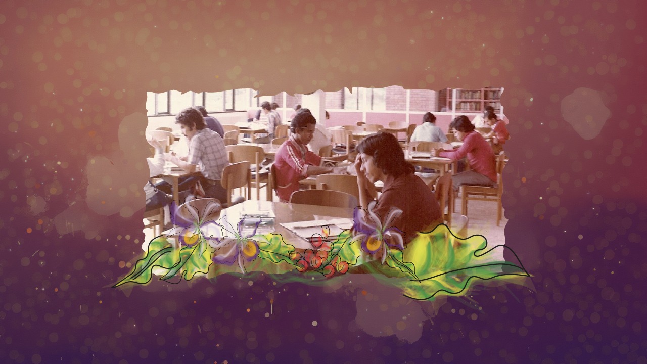 La metamorfosis de la biblioteca