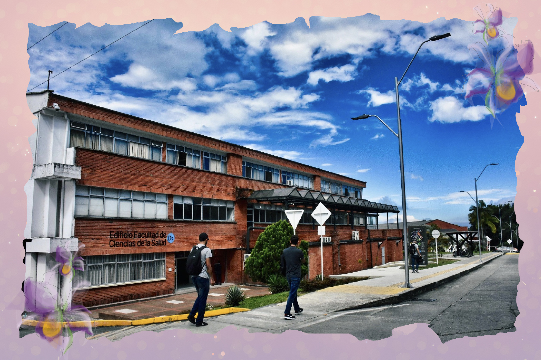 Edificio de la Facultad de Ciencias de la Salud, en la actualidad