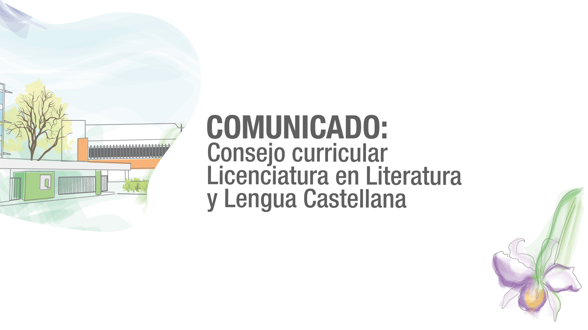 Comunicado | Consejo Curricular Licenciatura en Literatura y Lengua Castellana