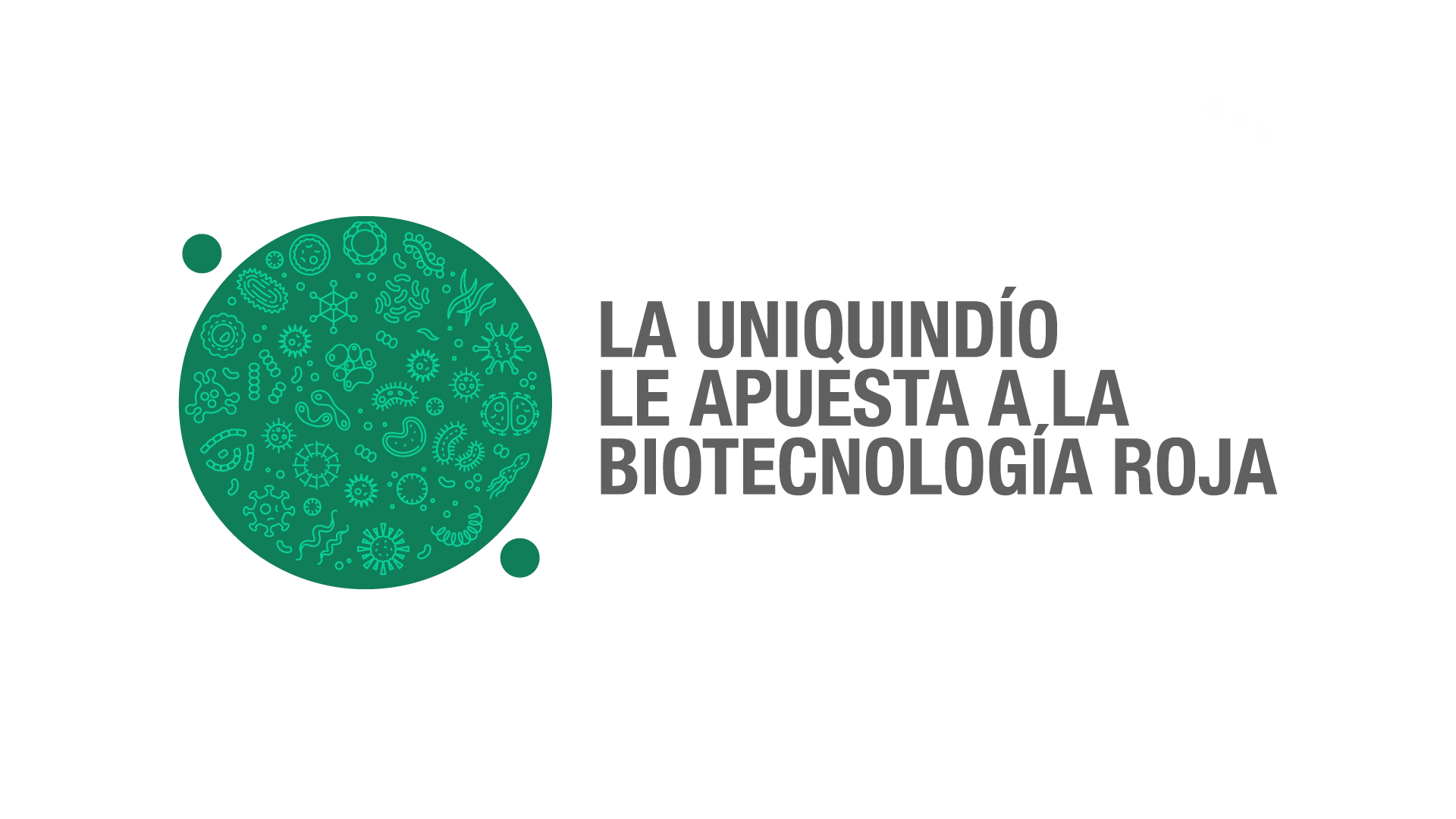 Investigadores uniquindianos se acercan a posible tratamiento para la toxoplasmosis a partir de la biotecnología roja