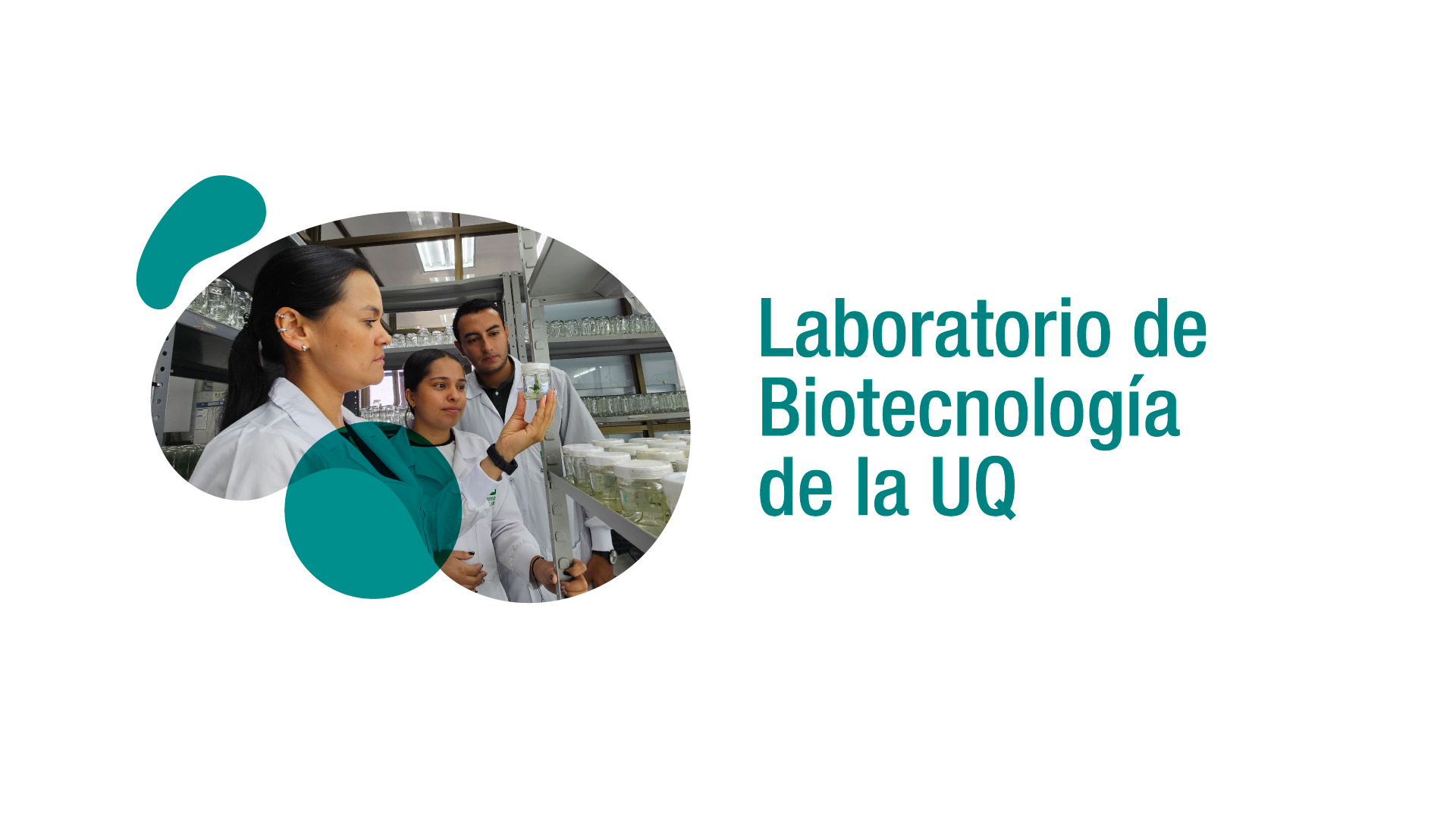 Más de 15 años de investigación en biotecnología